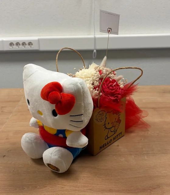 Personalizirani crveni aranžman s plišanom Hello Kitty igračkom